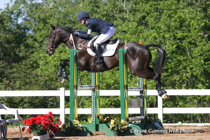 Fernhill Fearless